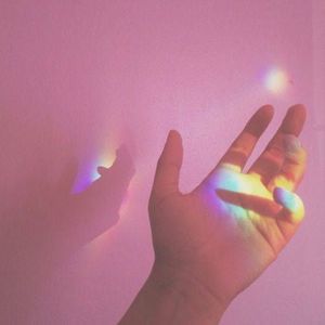 Meet your Posher, Lizbeth